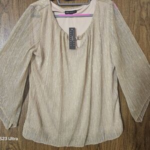 Sara Michelle Shimmering Gold Blouse